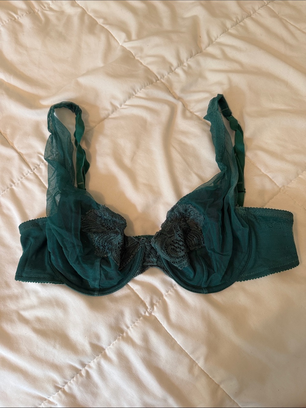 Sheer Lace Underwire Bra in Emerald Green